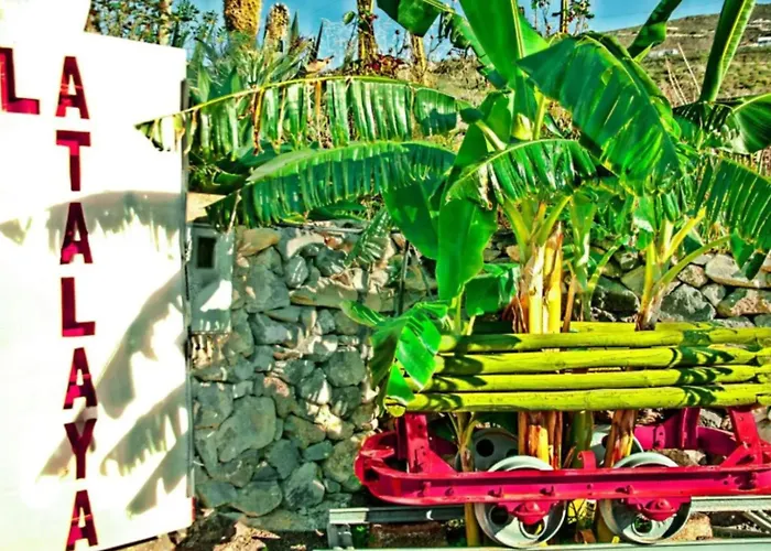 La Atalaya * Costa Adeje