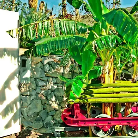 Vakantiehuis La Atalaya *